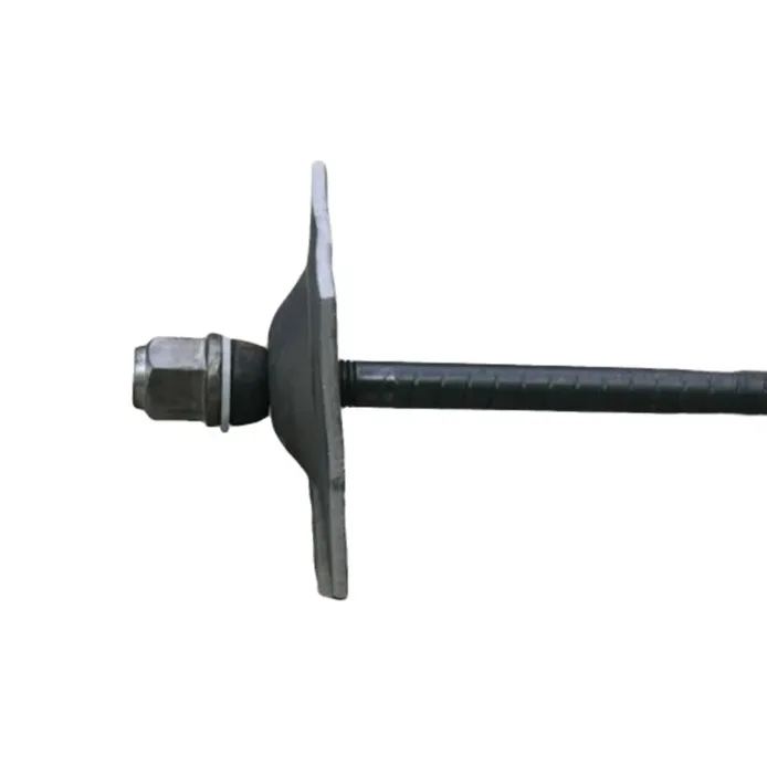 Left-Handed Rock Bolts ASTM 615 Grade 60 Stee Q335-Q600 Materials